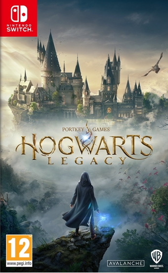 Изображение WB Games Hogwarts Legacy Nintendo Switch - Gry 5051892238601 (5051892238601)