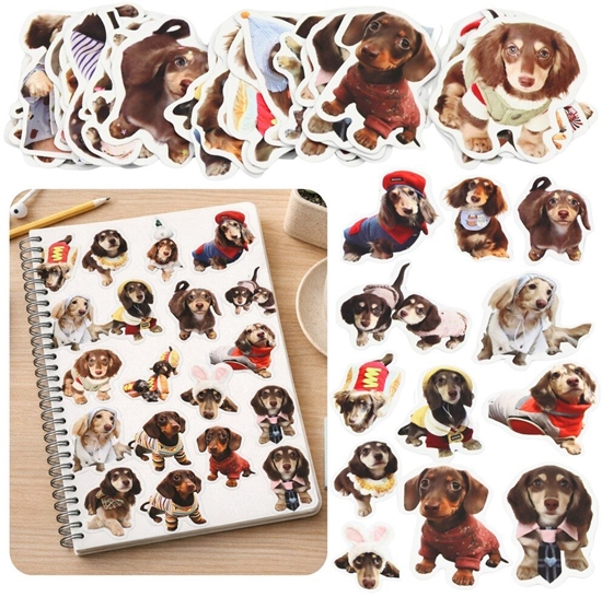 Picture of Zestaw Naklejki Z Pieskami Spaniel Papierowe Do Ozdabiania 50 szt. LEAN