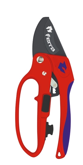 Изображение Laktveida grieznes Ferra FR-RATP