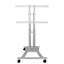 Picture of TV SET ACC FLOOR STAND SILVER/27-60" PLASMA-M1200 NEOMOUNTS
