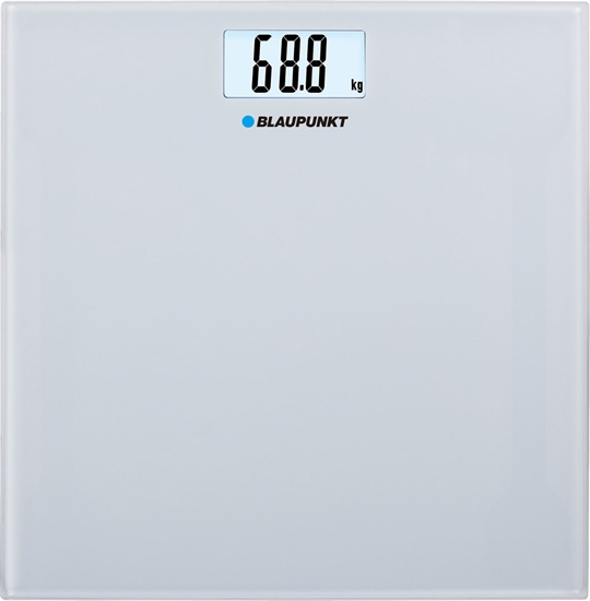 Picture of Blaupunkt BSP301