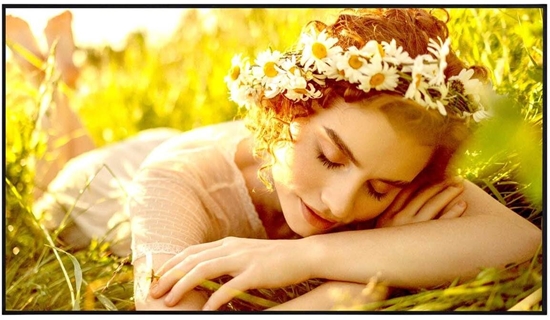 Picture of DISPLAY LCD 65"/65UL5Q-E LG