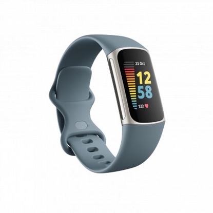 Picture of Fitbit Charge 5 Steel Blue Platinum