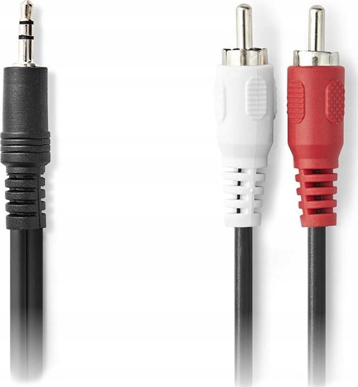 Picture of Kabel Nedis Nedis CAGL22200BK100 kabel audio 10 m 3.5mm 2 x RCA Czarny