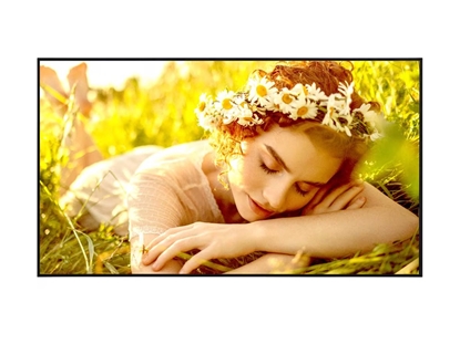 Picture of LG 4K UHD Signage | 55UL5Q-E | 55 " | 500 cd/m² | Landscape/Portrait | 24/7 | webOS | Wi-Fi | 178 ° | 178 °