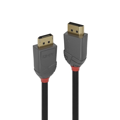Attēls no Lindy 1m DisplayPort 1.4 Cable, Anthra Line