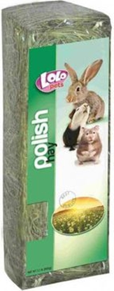 Attēls no Lolo Pets Classic SIANO DLA GRYZONI - LO-71052