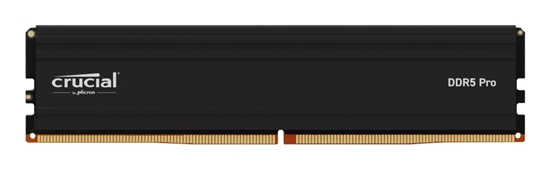 Picture of MEMORY DIMM PRO 32GB DDR5-5600/CP32G56C46U5 CRUCIAL