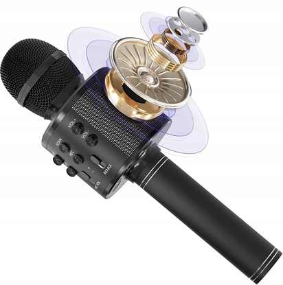 Изображение Mikrofon Maxy Mikrofon karaoke z gonikiem podwietlenie RGB czarny