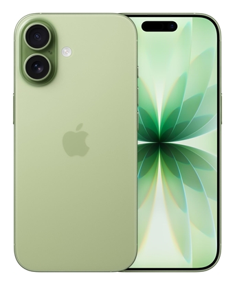 Picture of MOBILE PHONE IPHONE 17/256GB SAGE MG6N4 APPLE