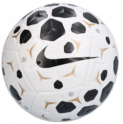 Изображение Nike Pika Academy HV4386-100