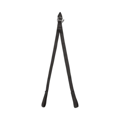 Picture of Pandion, Tetrax Replacement Elastics