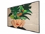 Picture of Philips 55BDL4511D/00 Signage Display Digital A-board 139.7 cm (55") 500 cd/m² 4K Ultra HD Black 24/7