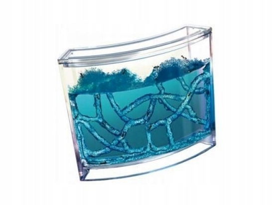 Picture of RoGer Educational Gel Ant Aquarium