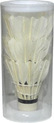 Изображение Swede Lotki do badmintona