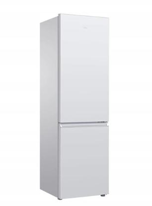 Изображение TCL Refrigerator | RF260BWE0 | Energy efficiency class E | Free standing | Combi | Height 182.3 cm | Fridge net capacity 187 L | Freezer net capacity 73 L | 40 dB | White