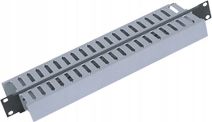 Picture of Triton Triton 19" panel 1U with 2x cable trunking