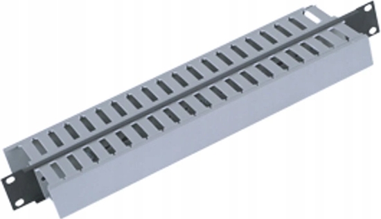 Picture of Triton Triton 19" panel 1U with 2x cable trunking