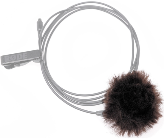 Изображение NONAME