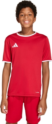 Picture of Adidas Koszulka adidas Entrada 26 JSY JZ2523