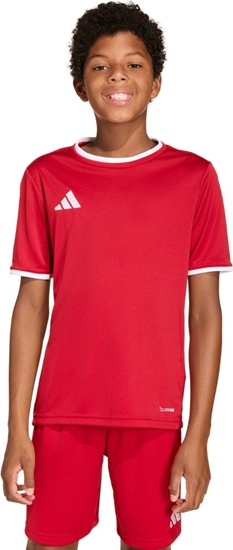 Picture of Adidas Koszulka adidas Entrada 26 JSY JZ2523