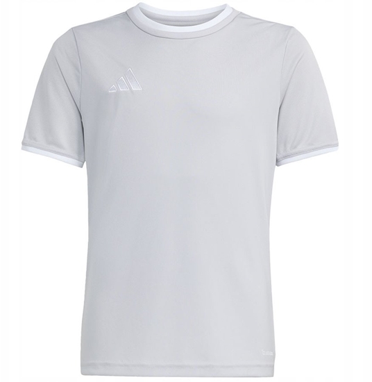 Picture of Adidas Koszulka adidas Entrada 26 JSY JZ2525