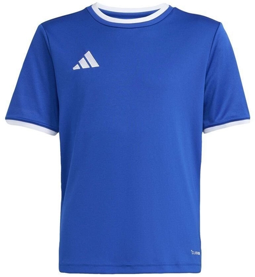 Picture of Adidas Koszulka adidas Entrada 26 JSY JZ2531