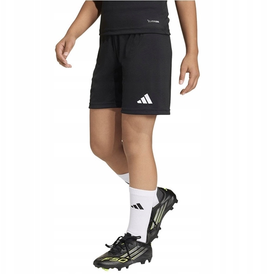 Изображение Adidas Spodenki adidas ENTRADA 26 Short Junior JZ6531