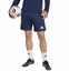 Attēls no Adidas Spodenki adidas ENTRADA 26 Training Short JZ6557