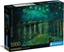 Picture of Clementoni Puzzle Compact Museum Van Gogh - Notte Stellata 1000 elementów (37095)
