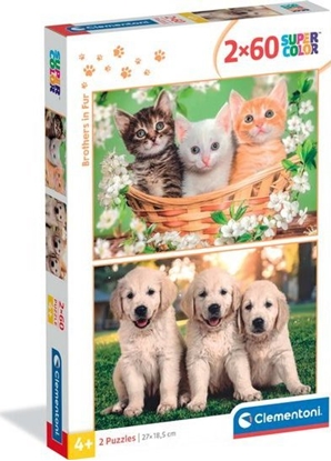 Изображение Clementoni Puzzle SuperColor Brothers In Fur 2x60 elementów (24820)