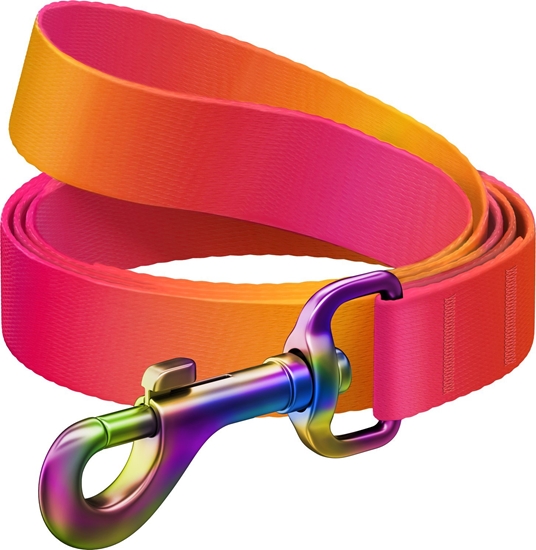 Picture of Collar Smycz dla psa nylonowa WAUDOG gradient, szer. 15mm, d. 122cm, pomaraczowa