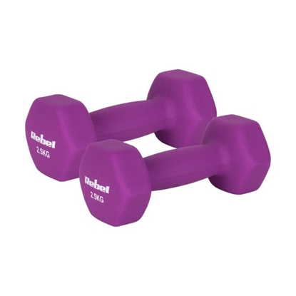 Изображение Čuguna neoprēna hanteles HEX 2x2.5kg, REBEL ACTIVE