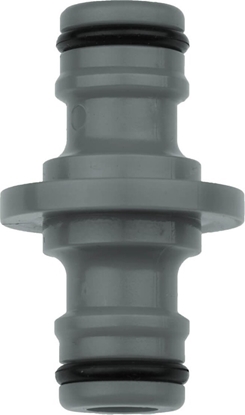 Изображение Dedra cznik prosty, luzem