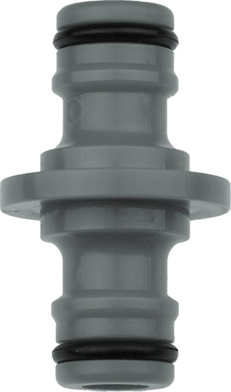 Изображение Dedra cznik prosty, luzem