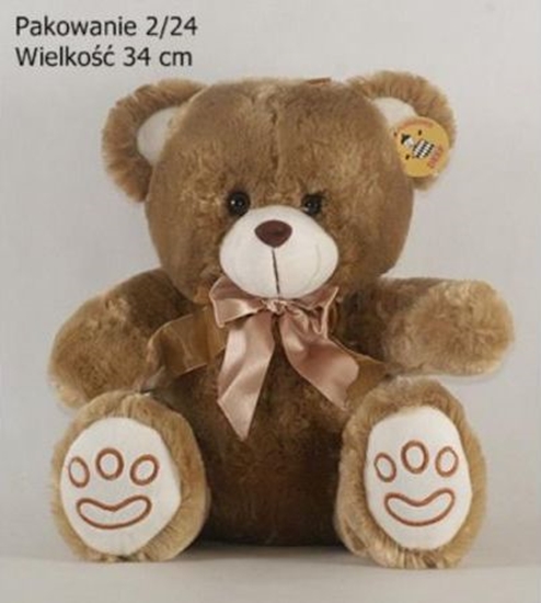 Picture of Deef Mi z Atasow Kokardk B. Duy 03441