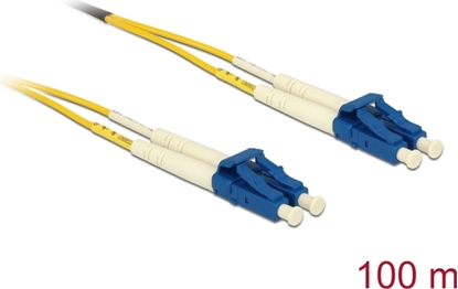 Picture of Delock Optical Fiber Cable LC Duplex to LC Duplex singlemode OS2 100 m
