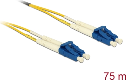 Picture of Delock Optical Fiber Cable LC Duplex to LC Duplex singlemode OS2 75 m