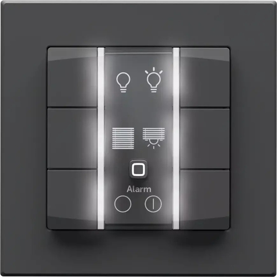 Picture of eQ-3 Homematic IP Przycisk cienny - 6-krotny 230 V antracyt