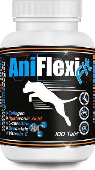 Picture of Game Dog AniFlexi FIT 100 tabletek