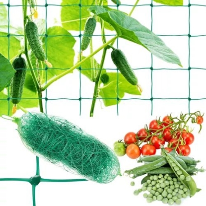 Picture of Gardlov Siatka - podpora do rolin 2x20m Gardlov 23980