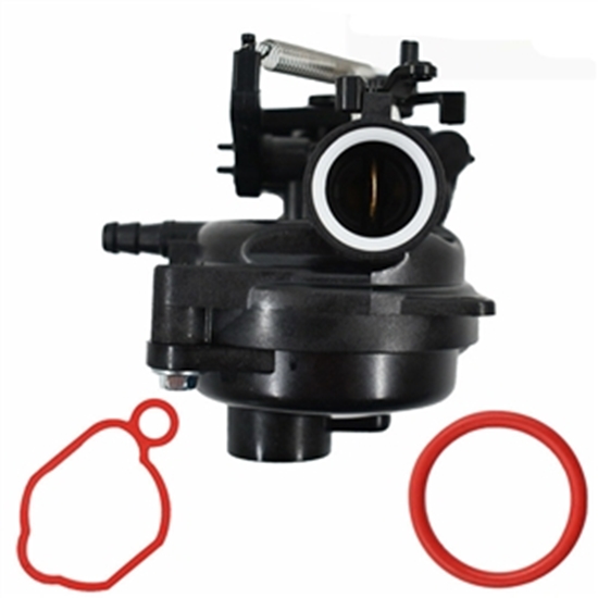 Picture of Karburators Briggs&Stratton 84001033