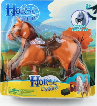 Attēls no KO NA BLISTRZE 1szt