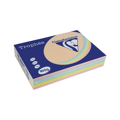 Picture of Krāsains papīrs A4, 160g/m2, 250 loksnes, 5 dažādas pasteļkrāsas, Trophee