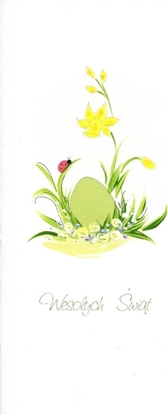 Изображение MAK Karnet Wielkanoc DL W19 - Biedronka