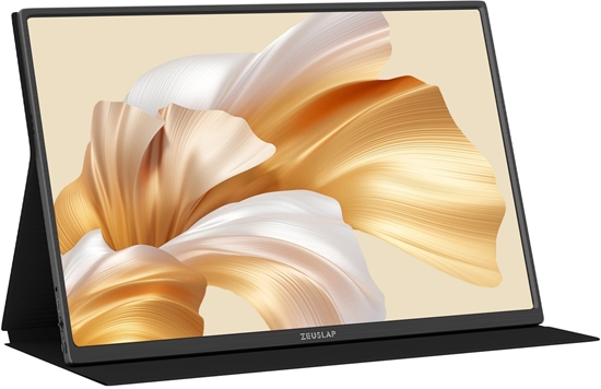 Picture of Monitor Zeuslap P16K