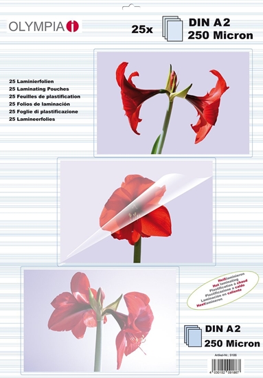 Изображение Olympia Folie laminacyjne DIN A2 25 sztuk 250 Mic