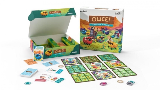 Picture of Studio Astropsychologii Owce: Zamieszanie na polanie