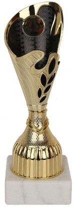 Изображение Puchar Tryumf 9315