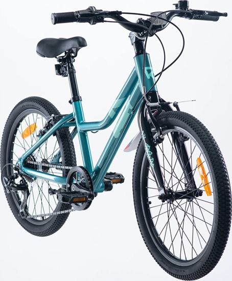 Изображение Radvik Dziecicy Rower Viking 20" zielony